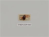 藏品(雙條甘蔗金龜)的圖片